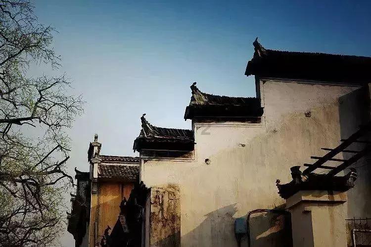 李咏的女儿仙女气质十足，为何不利用资源混进娱乐圈？游戏画面