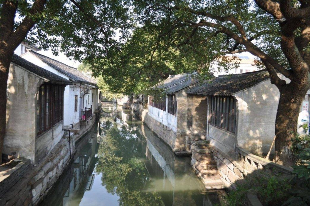 寻找火鸡